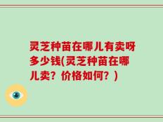 灵芝种苗在哪儿有卖呀多少钱(灵芝种苗在哪儿卖？价格如何？)