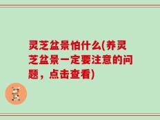 灵芝盆景怕什么(养灵芝盆景一定要注意的问题，点击查看)