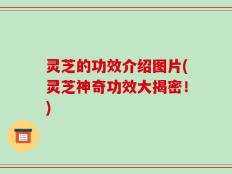 灵芝的功效介绍图片(灵芝神奇功效大揭密！)