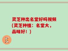 灵芝种出名堂好吗视频(灵芝种植：名堂大，品味好！)
