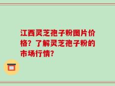 江西灵芝孢子粉图片价格？了解灵芝孢子粉的市场行情？
