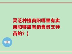 灵芝种植南阳哪里有卖南阳哪里有销售灵芝种苗的？)