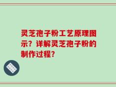 灵芝孢子粉工艺原理图示？详解灵芝孢子粉的制作过程？