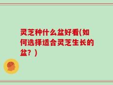 灵芝种什么盆好看(如何选择适合灵芝生长的盆？)
