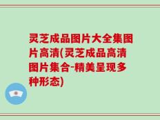 灵芝成品图片大全集图片高清(灵芝成品高清图片集合-精美呈现多种形态)