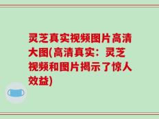 灵芝真实视频图片高清大图(高清真实：灵芝视频和图片揭示了惊人效益)