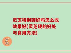 灵芝特别硬好吗怎么吃效果好(灵芝硬的好处与食用方法)