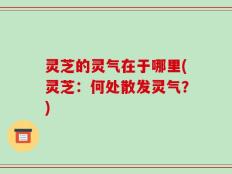 灵芝的灵气在于哪里(灵芝：何处散发灵气？)
