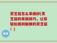 灵芝菇怎么采摘好(灵芝菇的采摘技巧，让你轻松摘到新鲜的灵芝菇！)