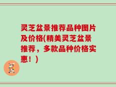 灵芝盆景推荐品种图片及价格(精美灵芝盆景推荐，多款品种价格实惠！)