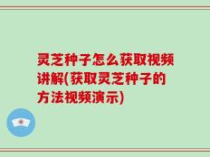 灵芝种子怎么获取视频讲解(获取灵芝种子的方法视频演示)