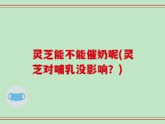 灵芝能不能催奶呢(灵芝对哺乳没影响？)