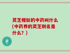 灵芝相似的中药叫什么(中药界的灵芝别名是什么？)