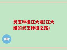 灵芝种植汪大姐(汪大姐的灵芝种植之路)