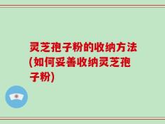 灵芝孢子粉的收纳方法(如何妥善收纳灵芝孢子粉)