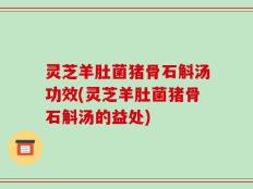 灵芝羊肚菌猪骨石斛汤功效(灵芝羊肚菌猪骨石斛汤的益处)