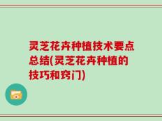 灵芝花卉种植技术要点总结(灵芝花卉种植的技巧和窍门)