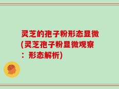 灵芝的孢子粉形态显微(灵芝孢子粉显微观察：形态解析)