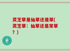灵芝草是仙草还是草(灵芝草：仙草还是常草？)
