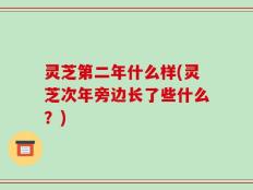 灵芝第二年什么样(灵芝次年旁边长了些什么？)