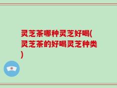 灵芝茶哪种灵芝好喝(灵芝茶的好喝灵芝种类)