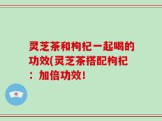 灵芝茶和枸杞一起喝的功效(灵芝茶搭配枸杞：加倍功效！