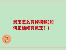 灵芝怎么剪掉视频(如何正确修剪灵芝？)