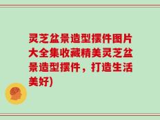 灵芝盆景造型摆件图片大全集收藏精美灵芝盆景造型摆件，打造生活美好)