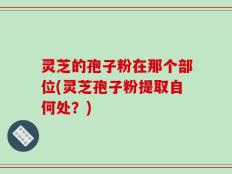 灵芝的孢子粉在那个部位(灵芝孢子粉提取自何处？)