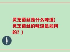 灵芝菌丝是什么味道(灵芝菌丝的味道是如何的？)