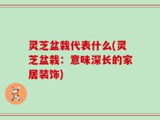 灵芝盆栽代表什么(灵芝盆栽：意味深长的家居装饰)