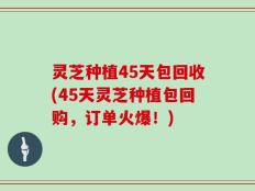 灵芝种植45天包回收(45天灵芝种植包回购，订单火爆！)