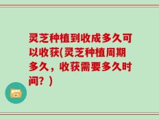灵芝种植到收成多久可以收获(灵芝种植周期多久，收获需要多久时间？)