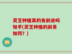 灵芝种植真的有前途吗知乎(灵芝种植的前景如何？)