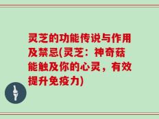 灵芝的功能传说与作用及禁忌(灵芝：神奇菇能触及你的心灵，有效提升免疫力)