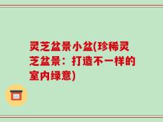 灵芝盆景小盆(珍稀灵芝盆景：打造不一样的室内绿意)