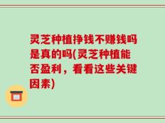 灵芝种植挣钱不赚钱吗是真的吗(灵芝种植能否盈利，看看这些关键因素)