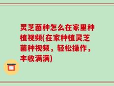 灵芝菌种怎么在家里种植视频(在家种植灵芝菌种视频，轻松操作，丰收满满)
