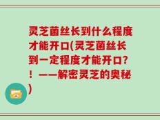 灵芝菌丝长到什么程度才能开口(灵芝菌丝长到一定程度才能开口？！——解密灵芝的奥秘)