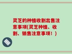灵芝的种植收割出售注意事项(灵芝种植、收割、销售注意事项！)