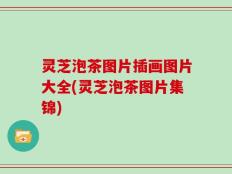灵芝泡茶图片插画图片大全(灵芝泡茶图片集锦)