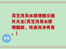 灵芝洗发水原理图示图片大全(灵芝洗发水原理图解，快速洗净秀发。)