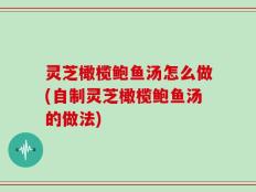 灵芝橄榄鲍鱼汤怎么做(自制灵芝橄榄鲍鱼汤的做法)