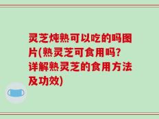 灵芝炖熟可以吃的吗图片(熟灵芝可食用吗？详解熟灵芝的食用方法及功效)