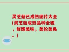 灵芝菇已成熟图片大全(灵芝菇成熟品种全貌，鲜嫩美味，美轮美奂。)
