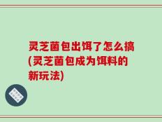 灵芝菌包出饵了怎么搞(灵芝菌包成为饵料的新玩法)