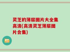 灵芝的薄层图片大全集高清(高清灵芝薄层图片合集)