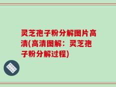 灵芝孢子粉分解图片高清(高清图解：灵芝孢子粉分解过程)