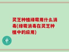 灵芝种植绿霉用什么消毒(绿霉消毒在灵芝种植中的应用)