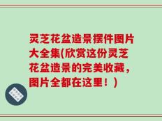 灵芝花盆造景摆件图片大全集(欣赏这份灵芝花盆造景的完美收藏，图片全都在这里！)